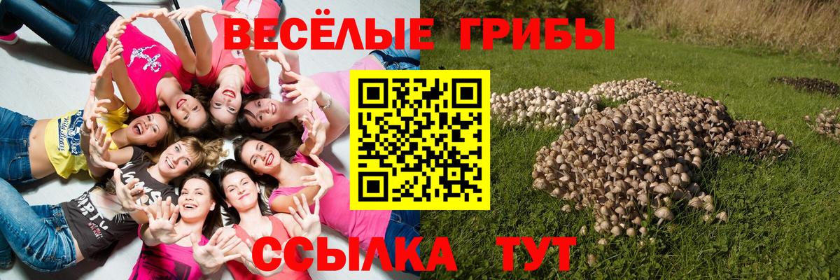 Псилоцибиновые грибы мицелий  Псилоцибиновые грибы Magic Shrooms  Наро-Фоминск  купить закладку  Вход с VPN 