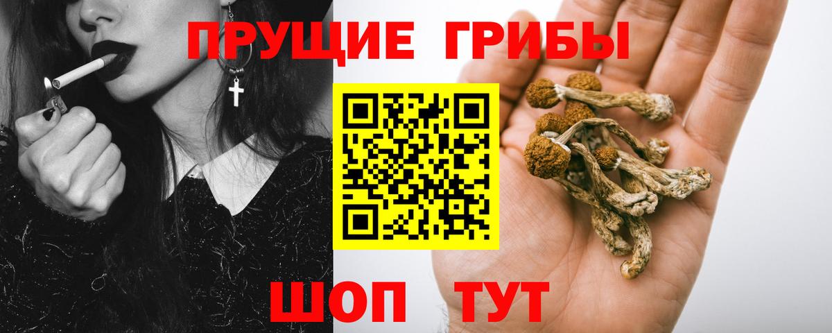 Псилоцибиновые грибы Cubensis Наро-Фоминск